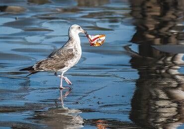 UN conference focuses on global plastic pollution treaty